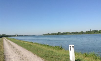 Ja, een reisje langs de Rijn,Rijn,Rijn