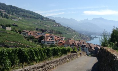 Door de wijnvelden naar Saint-Saphorin