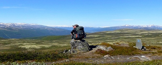 Dovrefjell